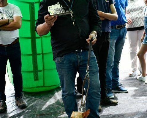 matilhas 2019 144 matilhas 2019 144