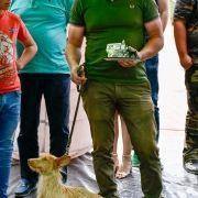 matilhas 2019 145 matilhas 2019 145