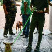 matilhas 2019 146 matilhas 2019 146