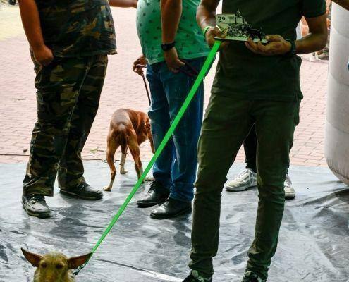 matilhas 2019 146 matilhas 2019 146