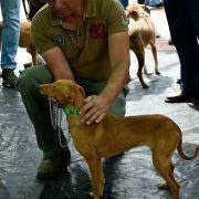 matilhas 2019 147 matilhas 2019 147