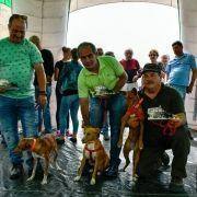 matilhas 2019 149 matilhas 2019 149