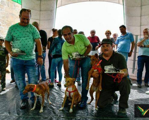 matilhas 2019 149 matilhas 2019 149