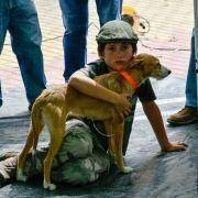 matilhas 2019 150 matilhas 2019 150