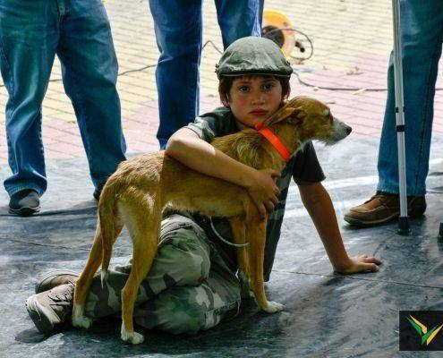 matilhas 2019 150 matilhas 2019 150