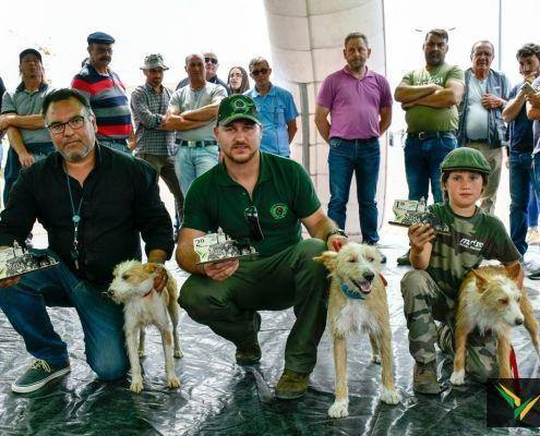 matilhas 2019 151 matilhas 2019 151