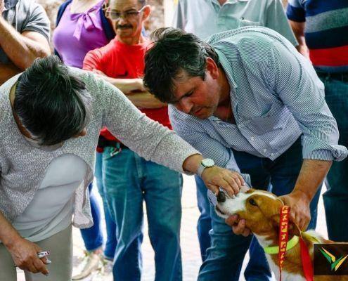 matilhas 2019 154 matilhas 2019 154