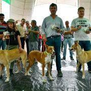 matilhas 2019 156 matilhas 2019 156