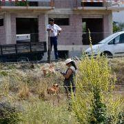 matilhas 2019 158 matilhas 2019 158