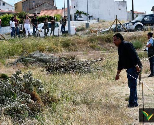 matilhas 2019 160 matilhas 2019 160