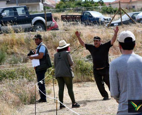 matilhas 2019 164 matilhas 2019 164