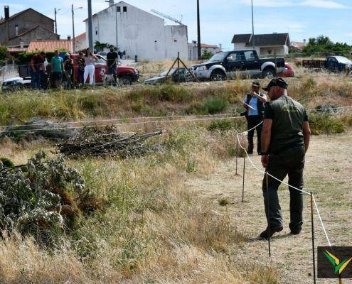 matilhas 2019 168 matilhas 2019 168