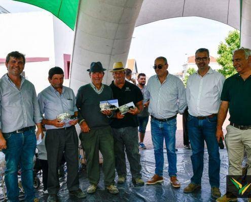 matilhas 2019 179 matilhas 2019 179