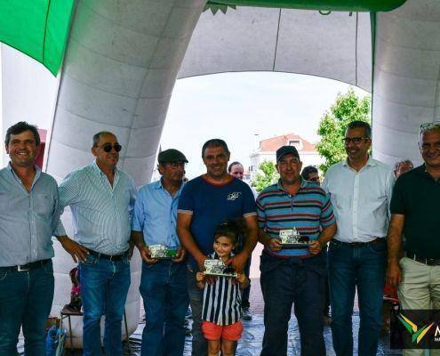 matilhas 2019 190 matilhas 2019 190