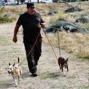 matilhas 2019 193 matilhas 2019 193