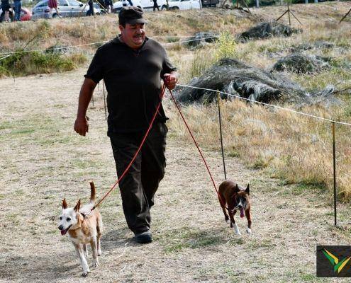 matilhas 2019 193 matilhas 2019 193