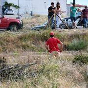 matilhas 2019 197 matilhas 2019 197