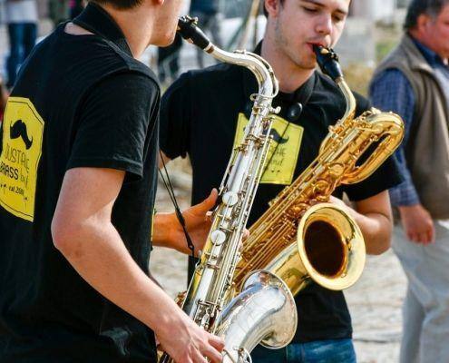 matilhas 2019 203 matilhas 2019 203