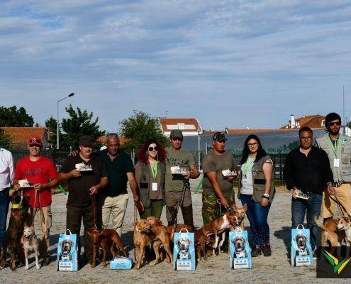 matilhas 2019 210 matilhas 2019 210