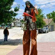 matilhas 2019 27 matilhas 2019 27