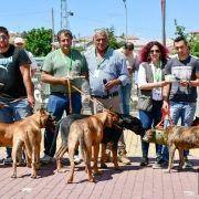 matilhas 2019 41 matilhas 2019 41