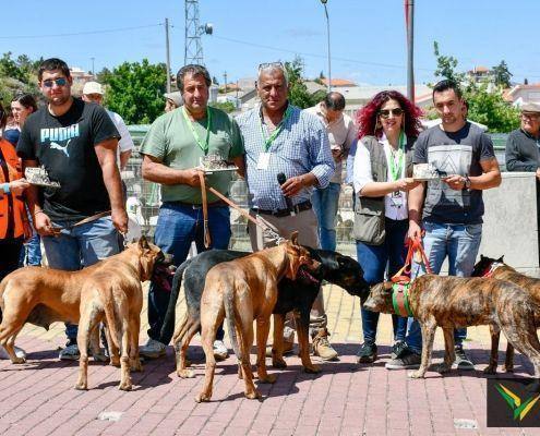 matilhas 2019 41 matilhas 2019 41