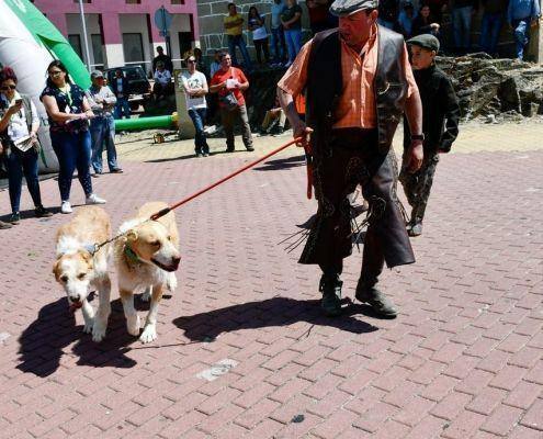 matilhas 2019 44 matilhas 2019 44