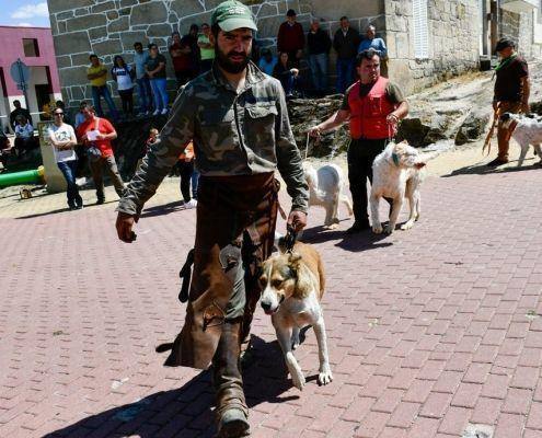 matilhas 2019 46 matilhas 2019 46