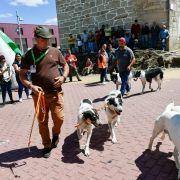 matilhas 2019 47 matilhas 2019 47