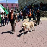 matilhas 2019 48 matilhas 2019 48