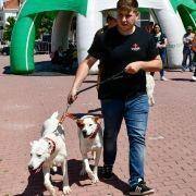 matilhas 2019 49 matilhas 2019 49