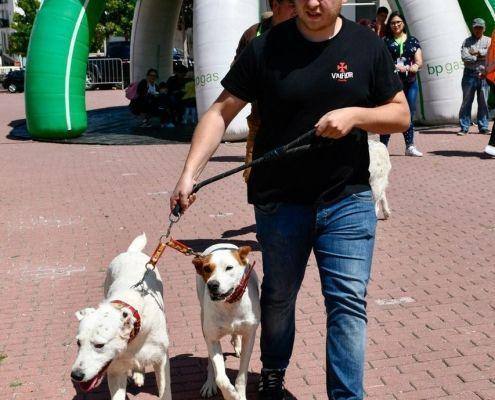 matilhas 2019 49 matilhas 2019 49