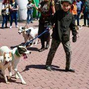 matilhas 2019 51 matilhas 2019 51