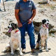 matilhas 2019 52 matilhas 2019 52