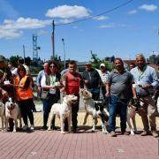 matilhas 2019 53 matilhas 2019 53