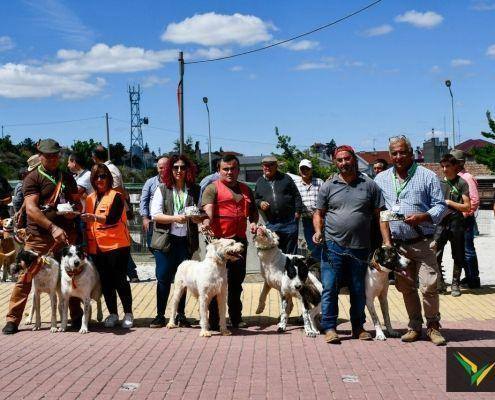 matilhas 2019 53 matilhas 2019 53