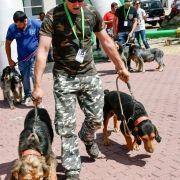 matilhas 2019 54 matilhas 2019 54