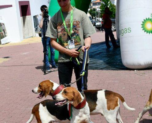 matilhas 2019 56 matilhas 2019 56