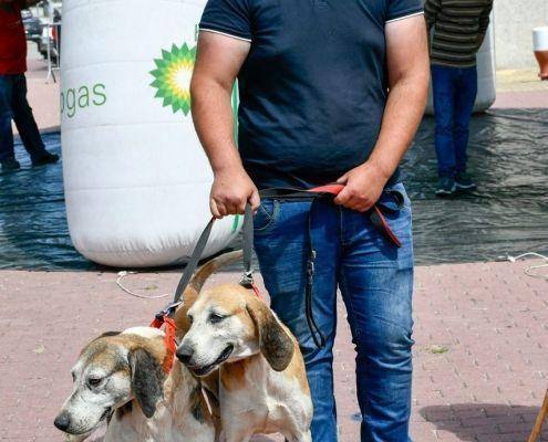 matilhas 2019 57 matilhas 2019 57