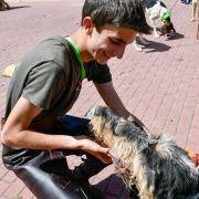 matilhas 2019 59 matilhas 2019 59