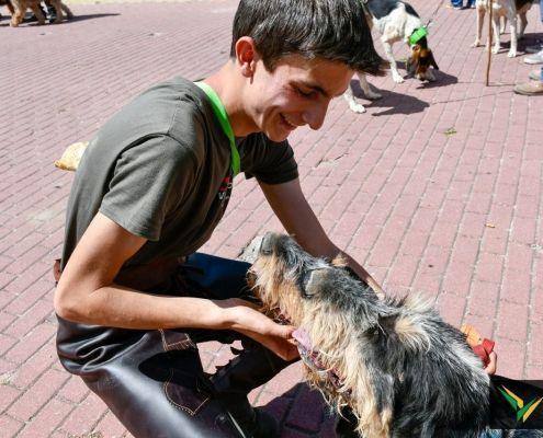 matilhas 2019 59 matilhas 2019 59