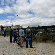 matilhas 2019 6 matilhas 2019 6