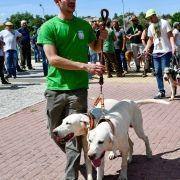 matilhas 2019 60 matilhas 2019 60