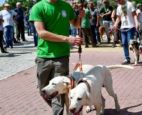 matilhas 2019 60 matilhas 2019 60