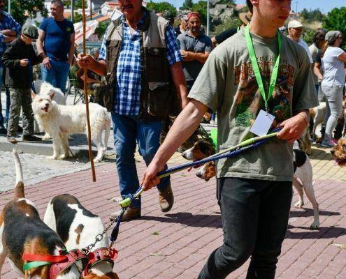 matilhas 2019 62 matilhas 2019 62