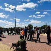 matilhas 2019 63 matilhas 2019 63