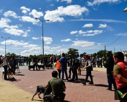 matilhas 2019 63 matilhas 2019 63