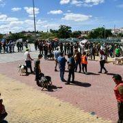 matilhas 2019 64 matilhas 2019 64