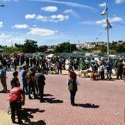 matilhas 2019 65 matilhas 2019 65