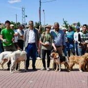 matilhas 2019 66 matilhas 2019 66